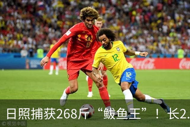 日照捕获268斤“鲅鱼王”！长2.46米！你这段买的水饺可能就是它！